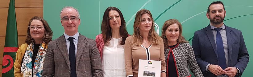 Salud y Familias impulsa el Plan de Familias de Andalucía